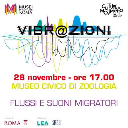 28 novembre